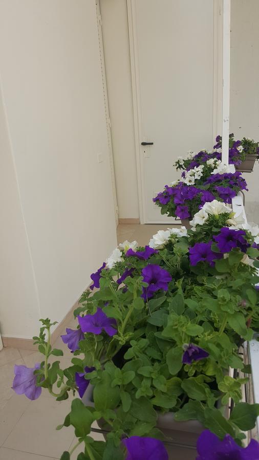 Matera Guest House エクステリア 写真